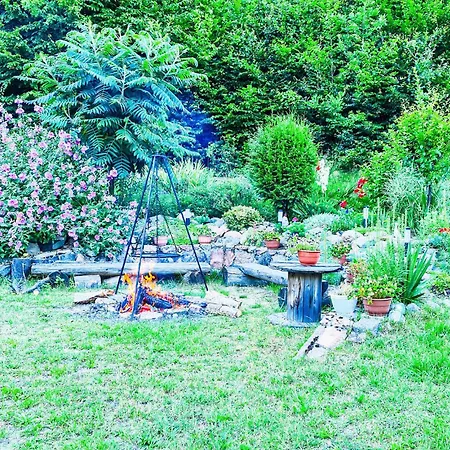 1 Bedroom Awesome In Vakantiehuis